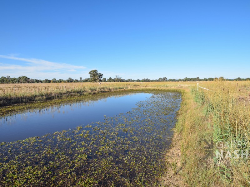 319 Wangaratta-Eldorado Road, Wangaratta VIC 3677