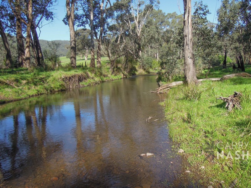 625 Upper Rose River Road, Rose River VIC 3678