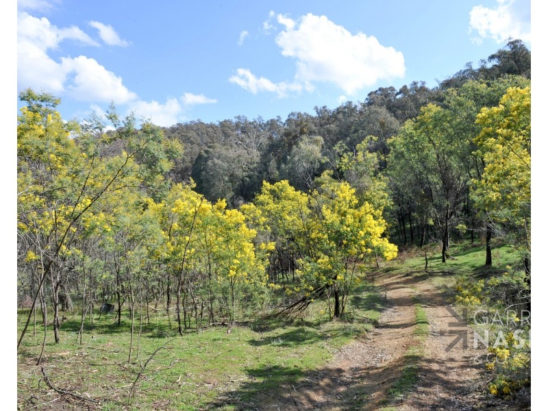 1053 Boggy Creek Road, Myrrhee VIC 3732