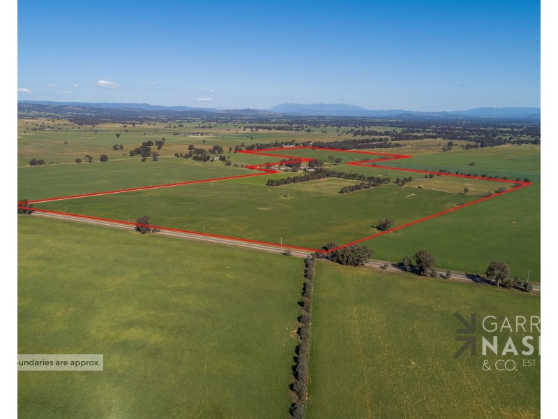 1090 Wangaratta-Eldorado Road, Londrigan VIC 3678