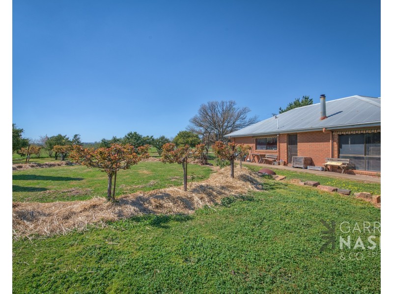 1090 Wangaratta-Eldorado Road, Londrigan VIC 3678