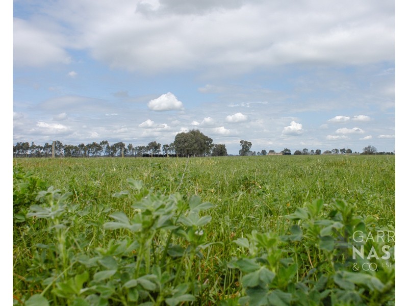 1090 Wangaratta-Eldorado Road, Londrigan VIC 3678