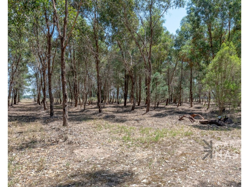 695 Wangaratta-Eldorado Road, Londrigan VIC 3678