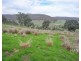 521 Molyullah-Tatong Road, Tatong VIC 3673