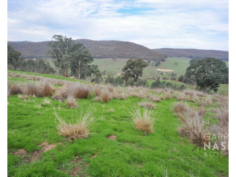521 Molyullah-Tatong Road, Tatong VIC 3673