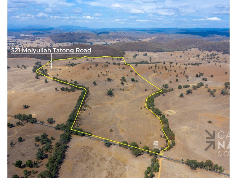 521 Molyullah-Tatong Road, Tatong VIC 3673