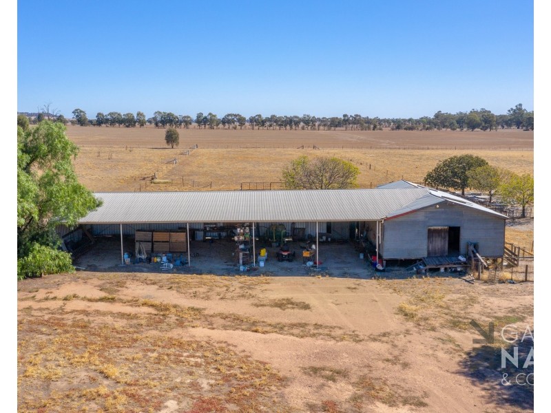 45 Miller Road, Bungeet West VIC 3726