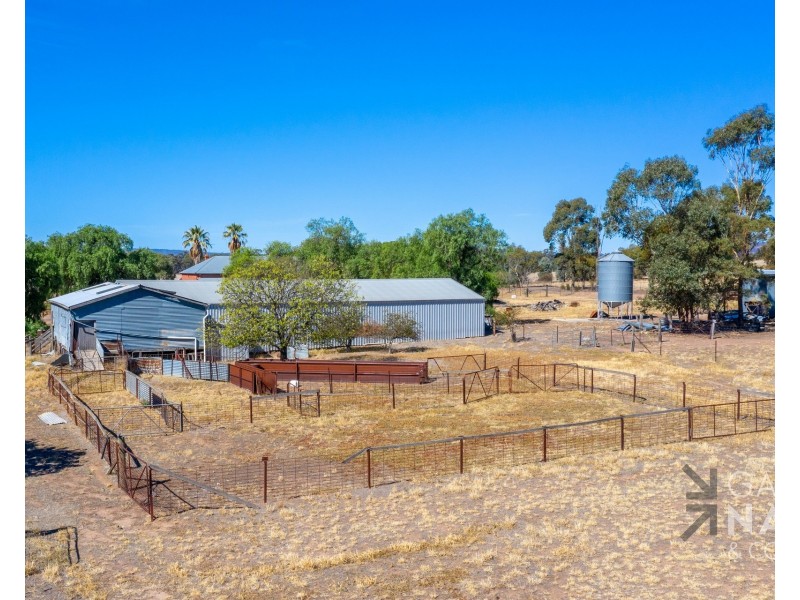 45 Miller Road, Bungeet West VIC 3726