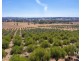 45 Miller Road, Bungeet West VIC 3726