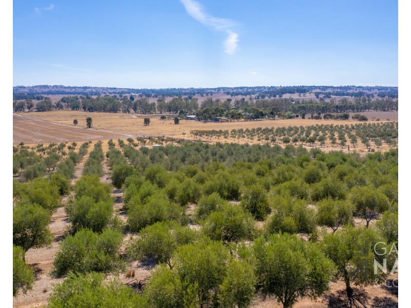 45 Miller Road, Bungeet West VIC 3726