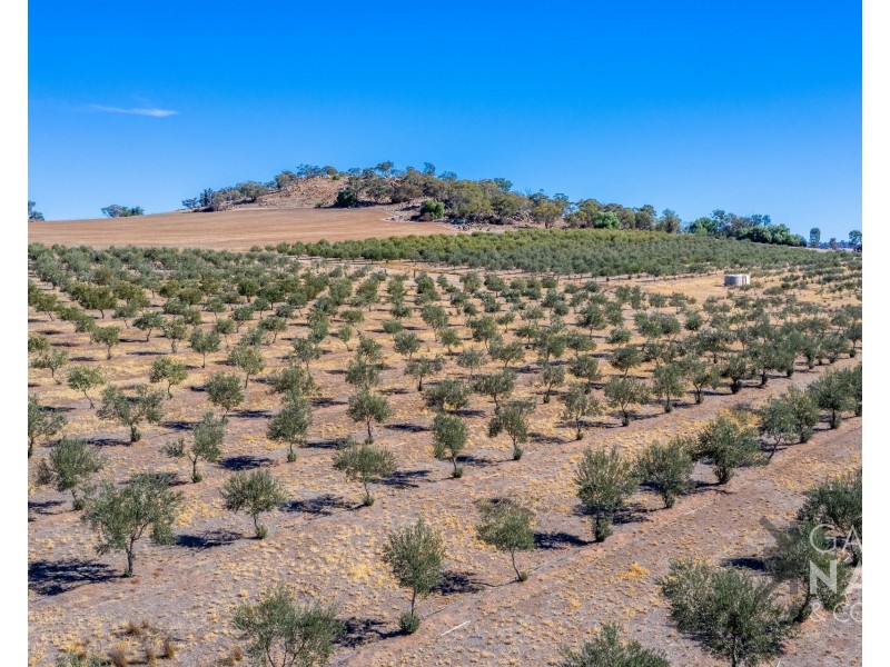45 Miller Road, Bungeet West VIC 3726