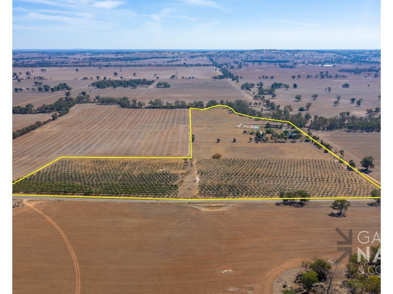 45 Miller Road, Bungeet West VIC 3726
