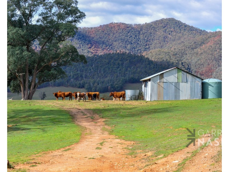 1761 Rose River Road, Rose River VIC 3678