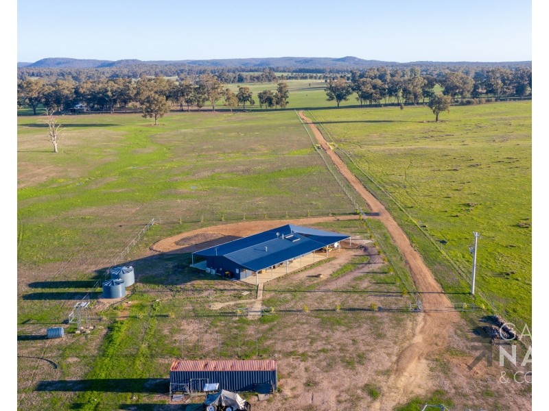 41 Nicklaus Road, Peechelba VIC 3678