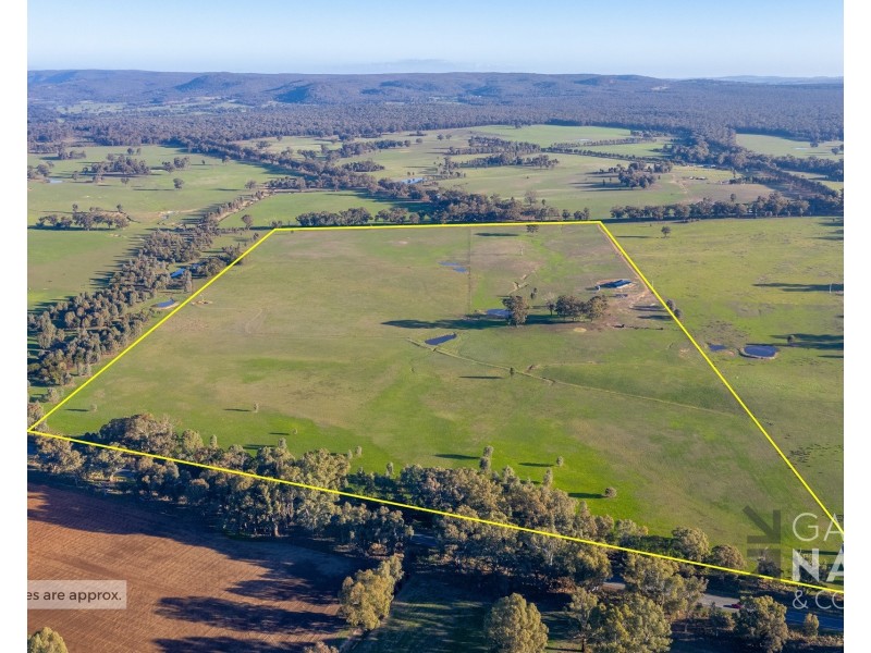 41 Nicklaus Road, Peechelba VIC 3678