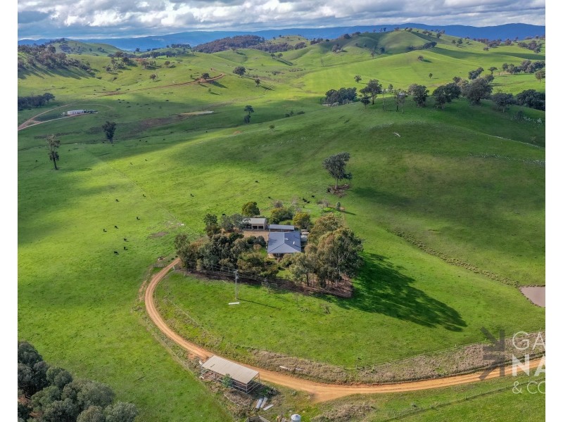 297 Kneebones Gap Road, Bobinawarrah VIC 3678