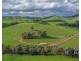 297 Kneebones Gap Road, Bobinawarrah VIC 3678