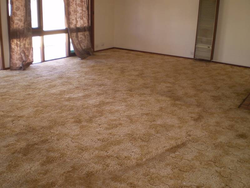 51A Vincent Road, Wangaratta VIC 3677