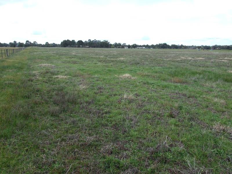 Wangaratta VIC 3677