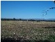 Lot 5 Warby Range Road, Wangaratta South VIC 3678