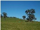 Glenrowan West Road and Ross Lane, Glenrowan West VIC 3675