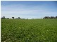Glenrowan West Road and Ross Lane, Glenrowan West VIC 3675