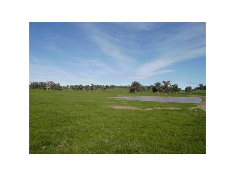Glenrowan West Road and Ross Lane, Glenrowan West VIC 3675