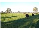 87 Wangaratta-Kilfeera Road, Wangaratta VIC 3677