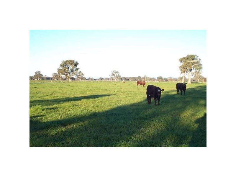87 Wangaratta-Kilfeera Road, Wangaratta VIC 3677