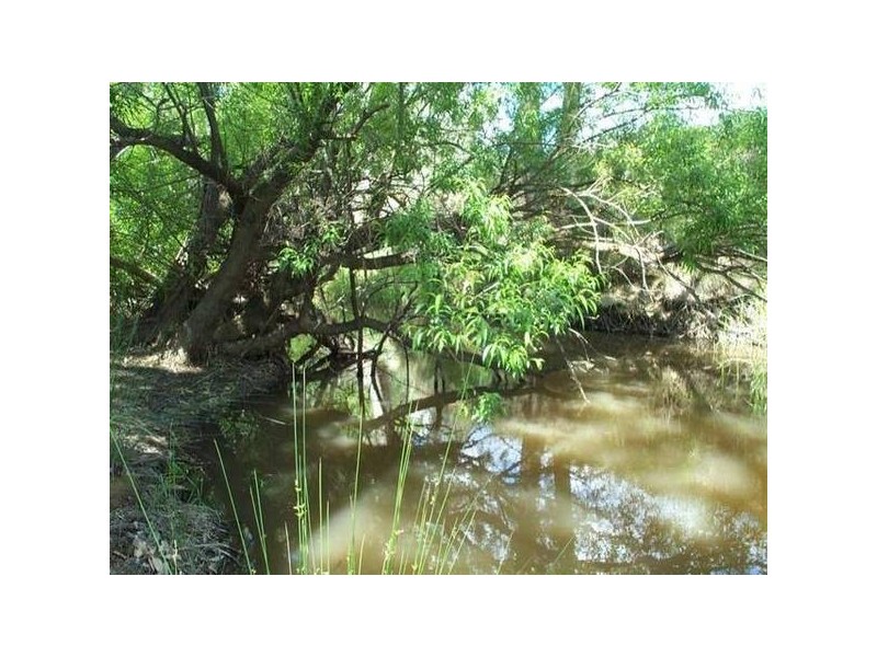 1000 Whorouly Bobinawarrah Road, Bobinawarrah VIC 3678