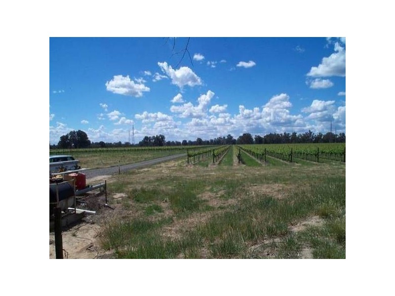 1000 Whorouly Bobinawarrah Road, Bobinawarrah VIC 3678