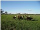 Federation Way, Bowser VIC 3678