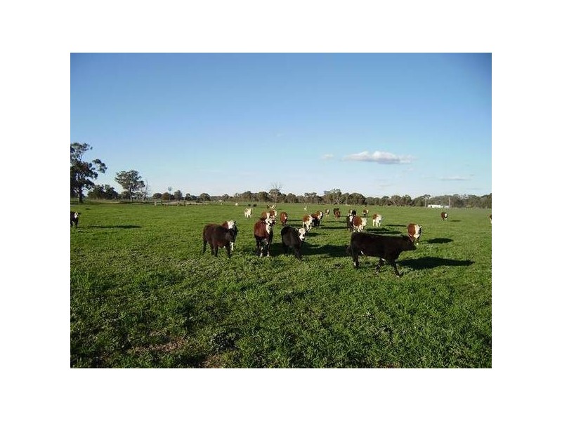 Federation Way, Bowser VIC 3678