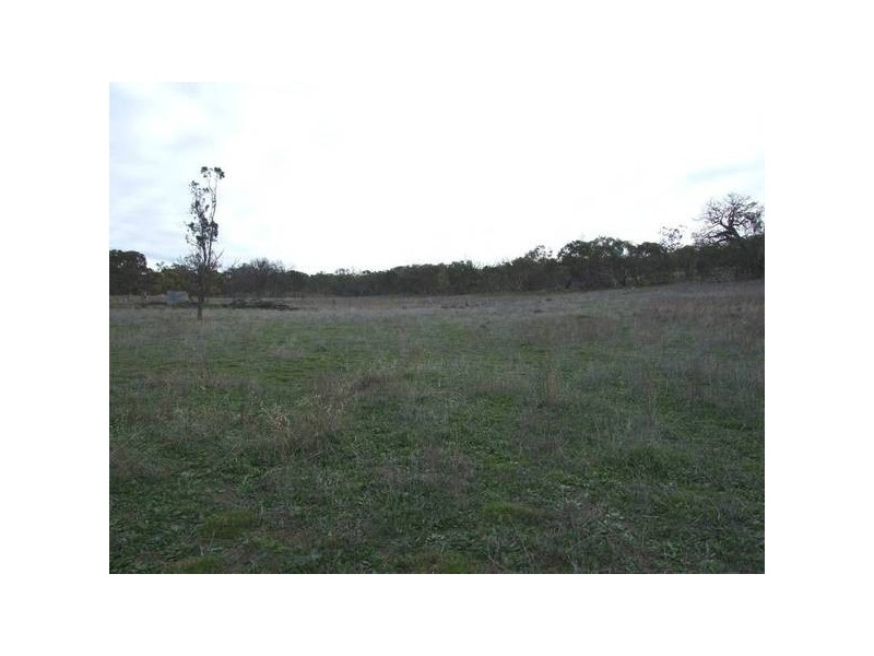 1a Irvines Road, Taminick VIC 3675