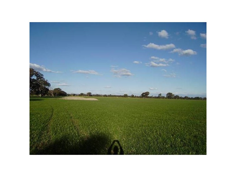 Federation Way, Bowser VIC 3678
