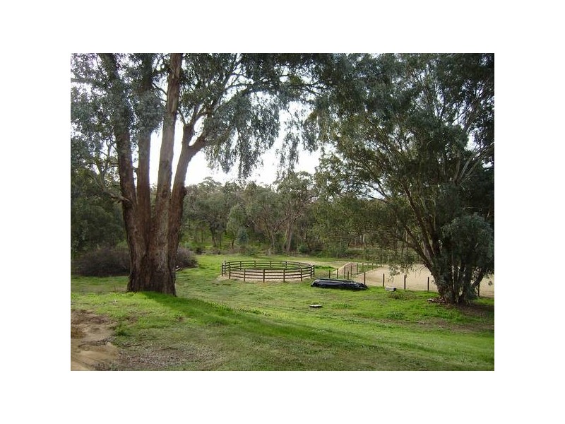 Everton Upper VIC 3678