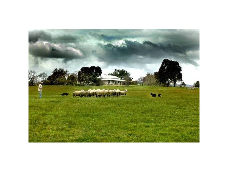 Glenrowan West VIC 3675