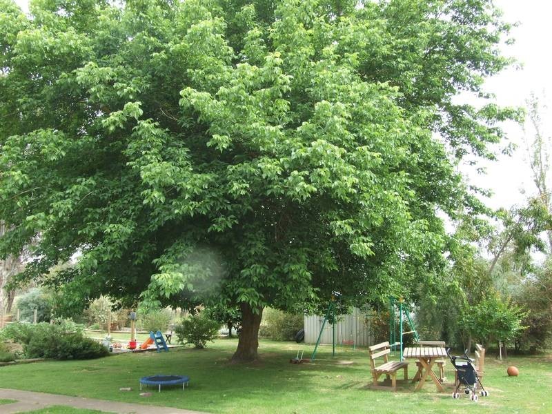 Hansonville VIC 3675