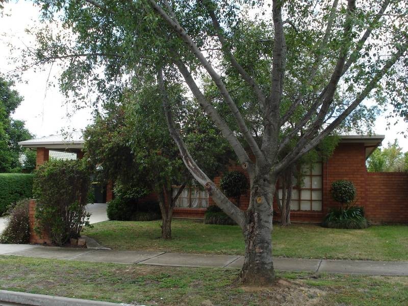 3 Albert Court, Wangaratta VIC 3677