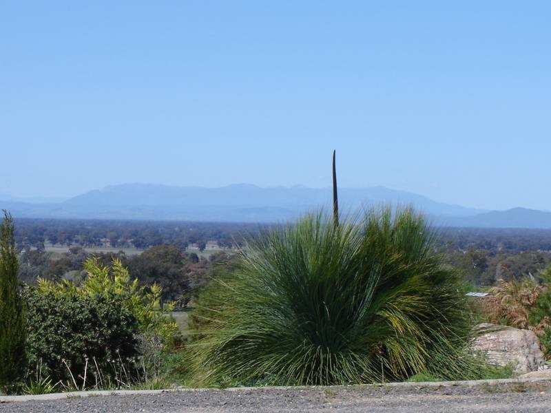 Wangaratta South VIC 3678