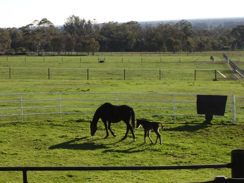 Wangaratta South VIC 3678