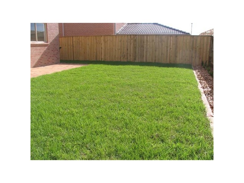 11 Braunton Street, Kellyville Ridge NSW 2155