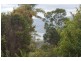 Lower Beechmont QLD 4211