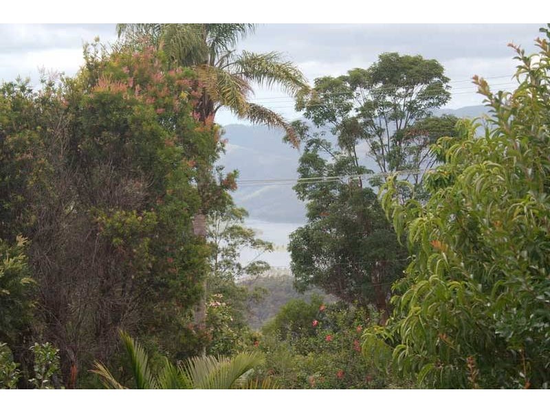 Lower Beechmont QLD 4211