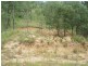 Lot 105, 105 Stephens Place, Kooralbyn QLD 4285
