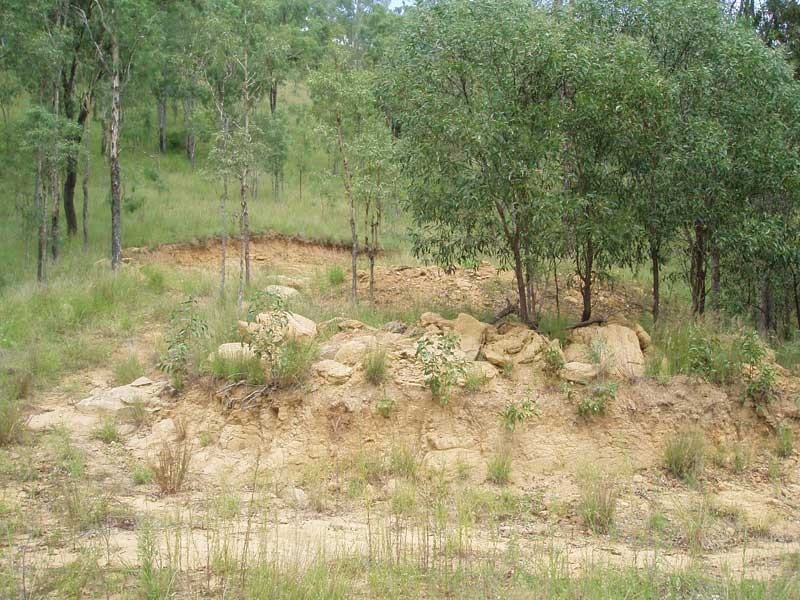 Lot 105, 105 Stephens Place, Kooralbyn QLD 4285