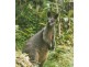 Worongary QLD 4213