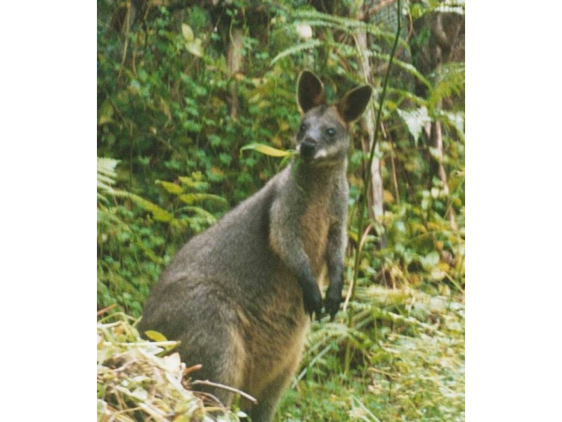 Worongary QLD 4213