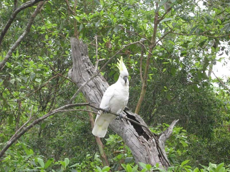 Worongary QLD 4213
