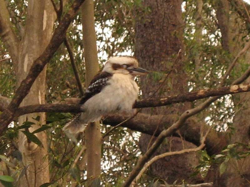 Worongary QLD 4213